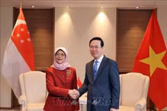 State President meets Singaporean counterpart in UK