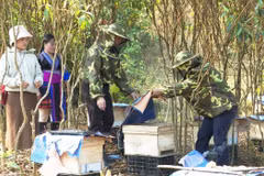 Japan helps promote economic empowerment for Lai Chau’s young ethnic people