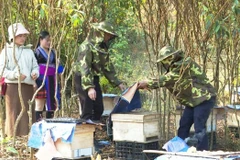 Japan helps promote economic empowerment for Lai Chau’s young ethnic people
