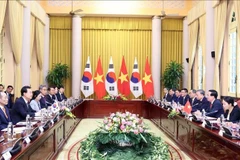 Vietnamese, RoK Presidents hold talks