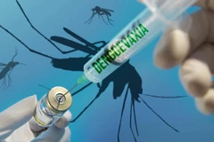 Vietnam to join Japanese dengue vaccine trials