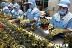 Great potential for Vietnamese goods to enter Africa, Middle East