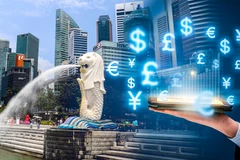 Ample room remains for Vietnam-Singapore cooperation in digital economy: expert