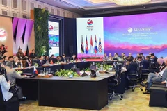 Peace, security, stability – prerequisite for prosperity: Vietnamese FM