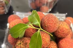 Vietnamese seedless lychees now available in UK market