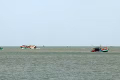 HCM City striving to end illegal fishing