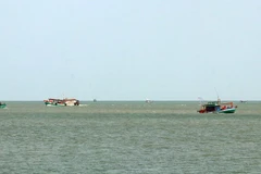 HCM City striving to end illegal fishing