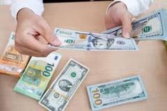 Nine-month overseas remittances to HCM City up 40% year on year