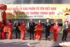 Export of first Vietnamese bird’s nests to China announced