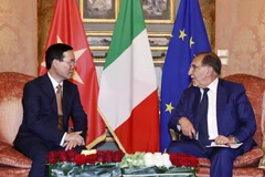 President Vo Van Thuong meets with Italian Senate President