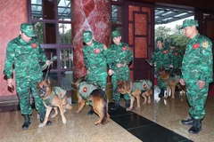 Ministry to send 76 servicemen to help Turkey overcome quake consequences 