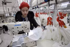 Vietnam – attractive destination for North European investors: official