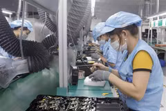 Vietnam still “an FDI darling”: Singaporean bank 