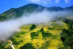 Vietnamese destinations continue earning int’l recognition