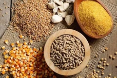 Vietnam spends over 2 billion USD on animal feed, material imports in 5 months