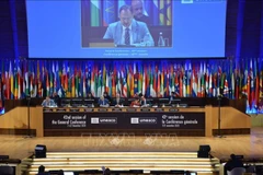 Progenitor of Vietnamese traditional medicine honoured by UNESCO