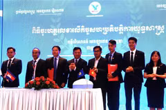 Vietnamese group helps improve health care in Cambodia