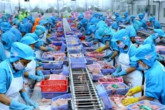 HCM City works to improve agro-forestry-aquatic products’ quality