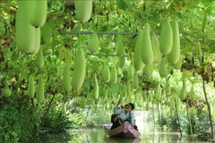 Agritourism to become integrated economic sector: Minister