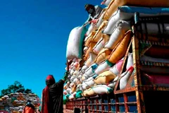 Indonesia to import 2 million tonnes of rice by year-end