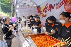 Vietnam highly potential market for Korean firms