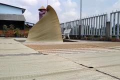 Tien Giang province rolls out plan to preserve craft villages