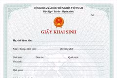 HCM City to pilot issuance of electronic civil status records