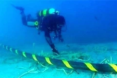 Vietnam needs at least 2-3 more undersea cable routes: official