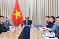 Vietnam, Mozambique step up multifaceted cooperation