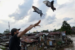 Indonesia applies biosecurity to prevent bird flu spread