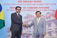 Vietnam-Brazil comprehensive partnership to go further