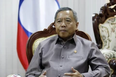 Lao official praises Vietnam’s bamboo diplomacy