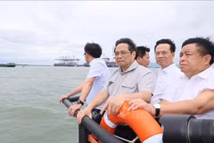 HCM City's Can Gio district should be turned into city in forest: PM