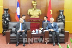 Vietnam shares experience in solving economic difficulties with Laos