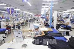 Vietnam Australia’s largest cotton importer: Authority