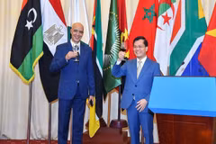 Vietnam treasures traditional ties with African countries: Official