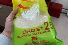 Canada a potential market for Vietnam’s rice: Insiders