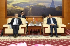Lao Cai looks to expand cooperation with Japanese partners