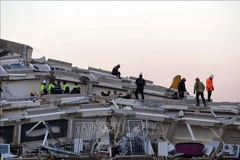 Committee extends sympathy to earthquake-affected Vietnamese in Turkey