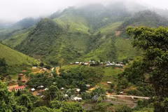 Quang Binh receives over 3.38 million USD from selling carbon credit