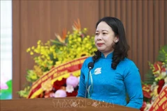 Vietnam Peace and Development Foundation celebrates its 20th anniversary