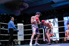 WBO event to feature title match, international boxers