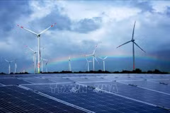 Vietnam, Australia seek to reduce carbon emission