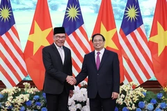 Vietnamese, Malaysian PMs delighted at development of bilateral relations
