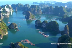 Vietnam’s tourism website remains hot