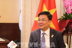 Ample room remains for Vietnam-Japan relations: diplomat, professors
