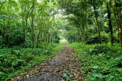 Cuc Phuong honoured as leading Asia’s national park for fifth time