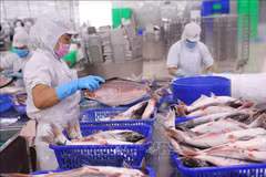 Agro-forestry-aquatic product exports up 5.7% in February