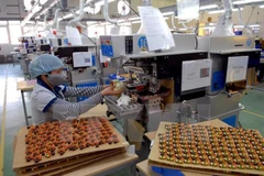 Vietnam enjoys surge in FDI inflows in 2023