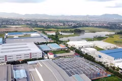 Piaggio Vietnam adds 75 mln USD to investment in Vinh Phuc